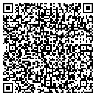 QR-код с контактной информацией организации ИП Пилот