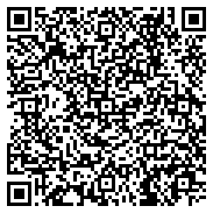 QR-код с контактной информацией организации Электрика