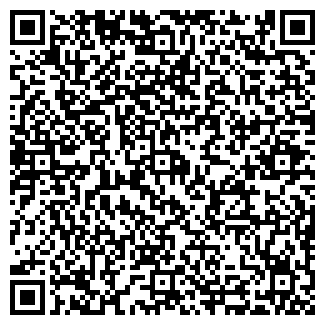 QR-код с контактной информацией организации Дельфины*777