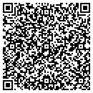 QR-код с контактной информацией организации ООО "Цифровые системы" Компьютерный салон   Луч