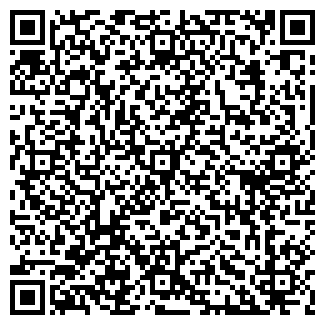 QR-код с контактной информацией организации Автомир