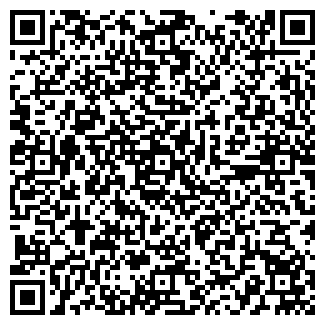 QR-код с контактной информацией организации СНЕГИН А.П.