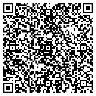 QR-код с контактной информацией организации Рыжая