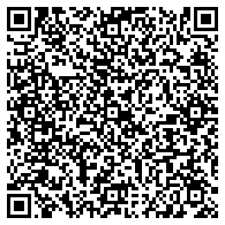 QR-код с контактной информацией организации Автосервис