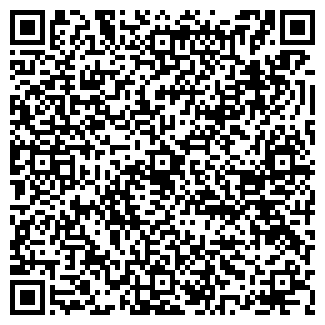 QR-код с контактной информацией организации Смурфик