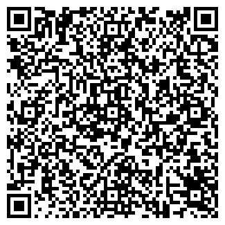 QR-код с контактной информацией организации ООО Шкафкин