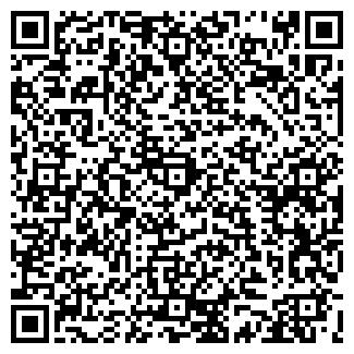 QR-код с контактной информацией организации Салон "Билайн"