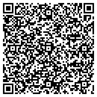 QR-код с контактной информацией организации "Билайн" Домодедово