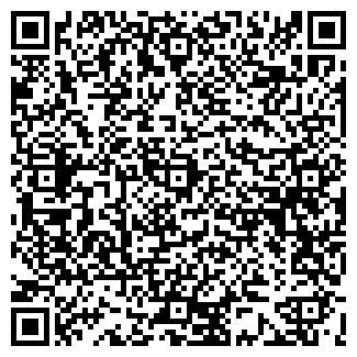 QR-код с контактной информацией организации "Билайн" Кашира