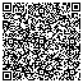 QR-код с контактной информацией организации "Билайн"