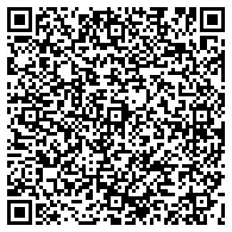 QR-код с контактной информацией организации "Билайн" Пушкино