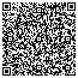 QR-код с контактной информацией организации Салон "Билайн"