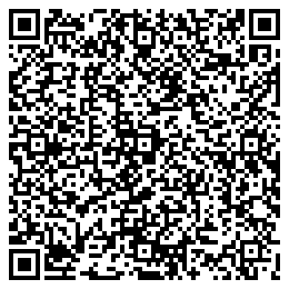 QR-код с контактной информацией организации Салон "Билайн"