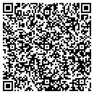 QR-код с контактной информацией организации Салон "Билайн"