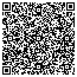QR-код с контактной информацией организации Салон "Билайн"