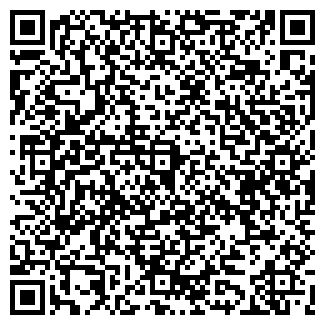 QR-код с контактной информацией организации "Билайн"