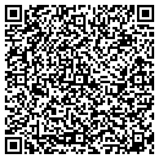 QR-код с контактной информацией организации ООО Телесервис