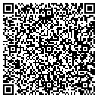 QR-код с контактной информацией организации BLANCO