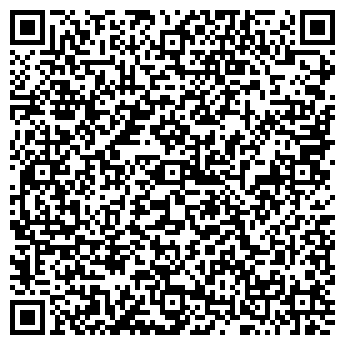 QR-код с контактной информацией организации ИП Вектор Дома