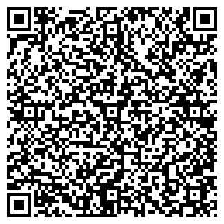 QR-код с контактной информацией организации Tursblog
