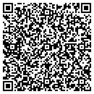 QR-код с контактной информацией организации ИП Балконы Перми