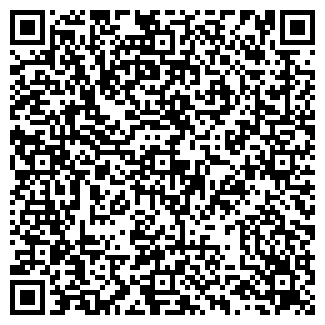 QR-код с контактной информацией организации ИП Палитра мира