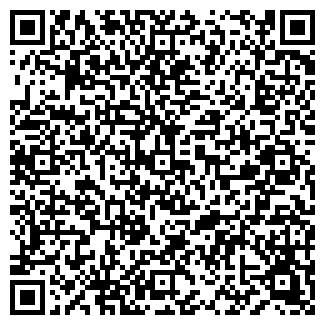 QR-код с контактной информацией организации ООО РентКар