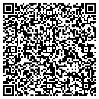 QR-код с контактной информацией организации "Электроник" Киров