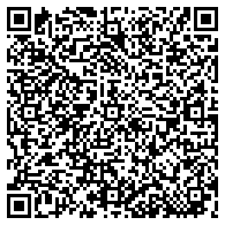 QR-код с контактной информацией организации ИП FRESH ARTS