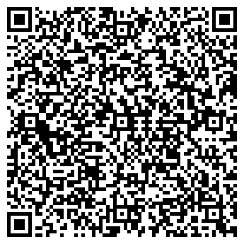 QR-код с контактной информацией организации ООО Лайкит