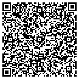 QR-код с контактной информацией организации ООО РВК - Казань