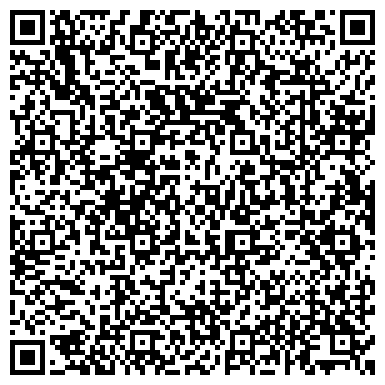 QR-код с контактной информацией организации Такси "Северная Пальмира"