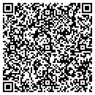 QR-код с контактной информацией организации СТРОЙМАШИНА