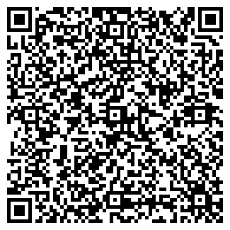 QR-код с контактной информацией организации ИП ArendaVPenze