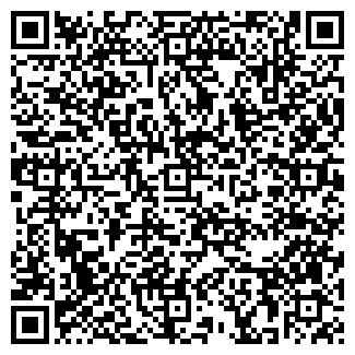 QR-код с контактной информацией организации ИП Салтук И.В.