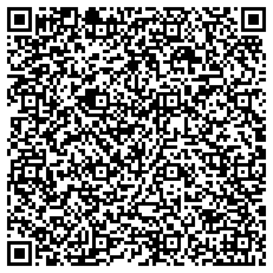 QR-код с контактной информацией организации "Светотроника" Великий Новгород