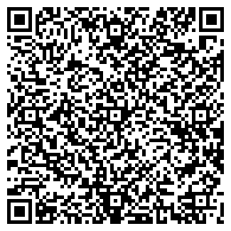 QR-код с контактной информацией организации ИП Баст54