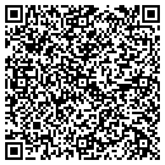 QR-код с контактной информацией организации Панда Банда