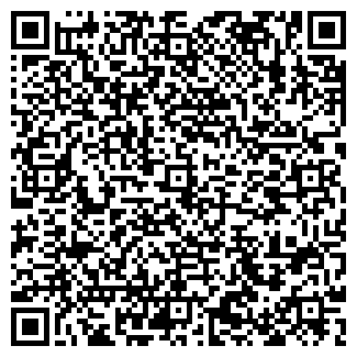 QR-код с контактной информацией организации ИП Salon Decor