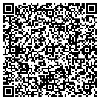 QR-код с контактной информацией организации ООО Валькирия