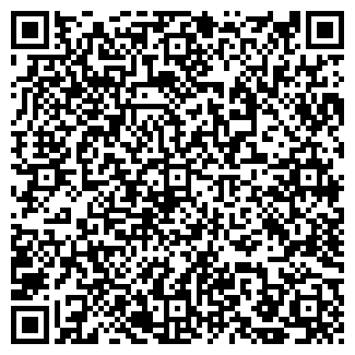 QR-код с контактной информацией организации ИП Светодей