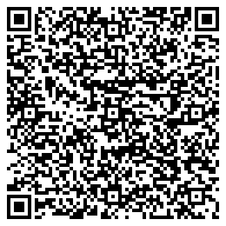 QR-код с контактной информацией организации ООО Вива Скэйл Моделс