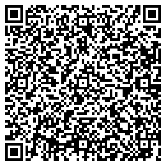 QR-код с контактной информацией организации Интернет-магазин « Магия ночей »