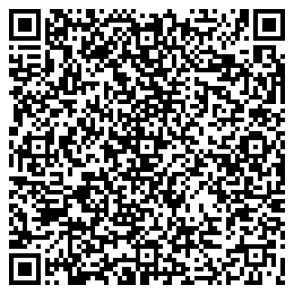 QR-код с контактной информацией организации ИНСТАВ