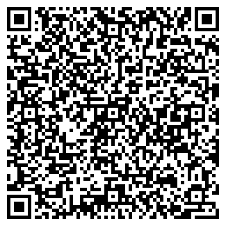 QR-код с контактной информацией организации Ремонтик