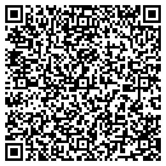 QR-код с контактной информацией организации ООО Celebrity