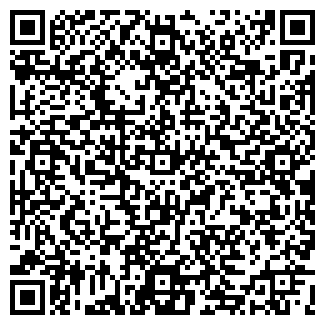 QR-код с контактной информацией организации ИП Нолина