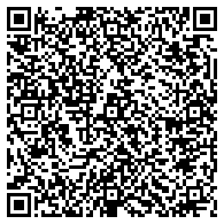 QR-код с контактной информацией организации Welldix