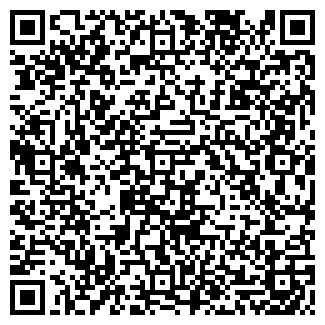 QR-код с контактной информацией организации Svejo. By