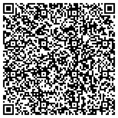QR-код с контактной информацией организации ИП NN - Telemaster